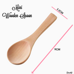 Mini Wooden Spoon for Spice Jars