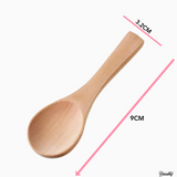 Mini Wooden Spoon for Spice Jars